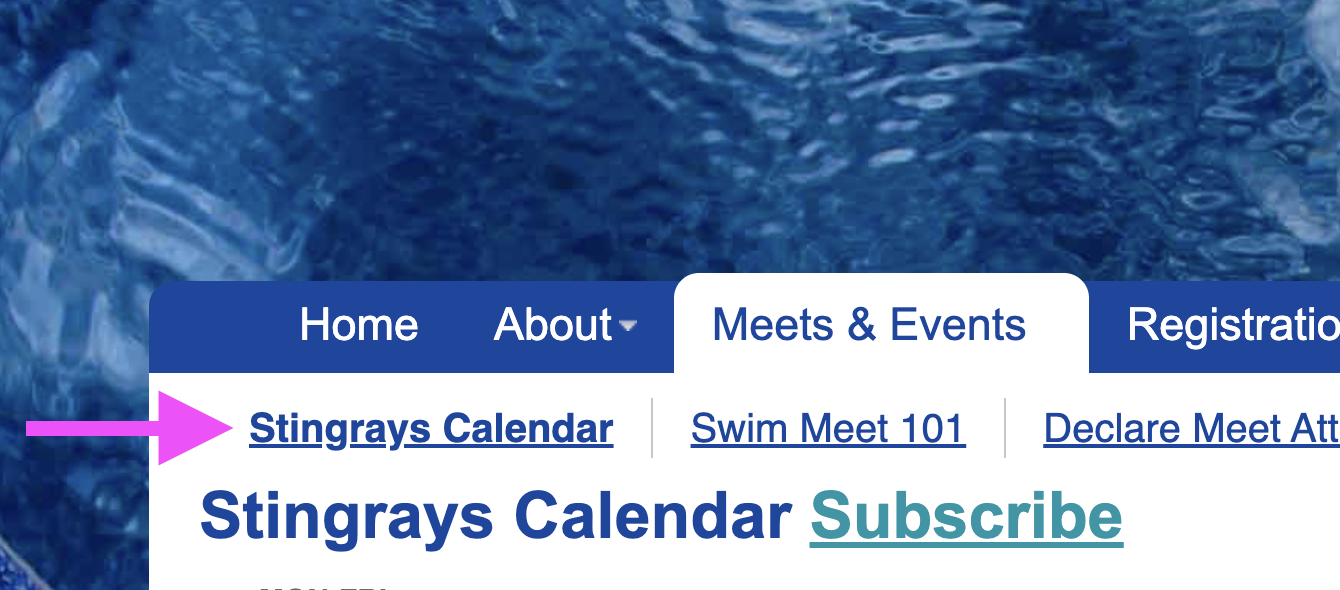 Stingrays Calendar