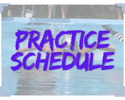 Practice Schedule