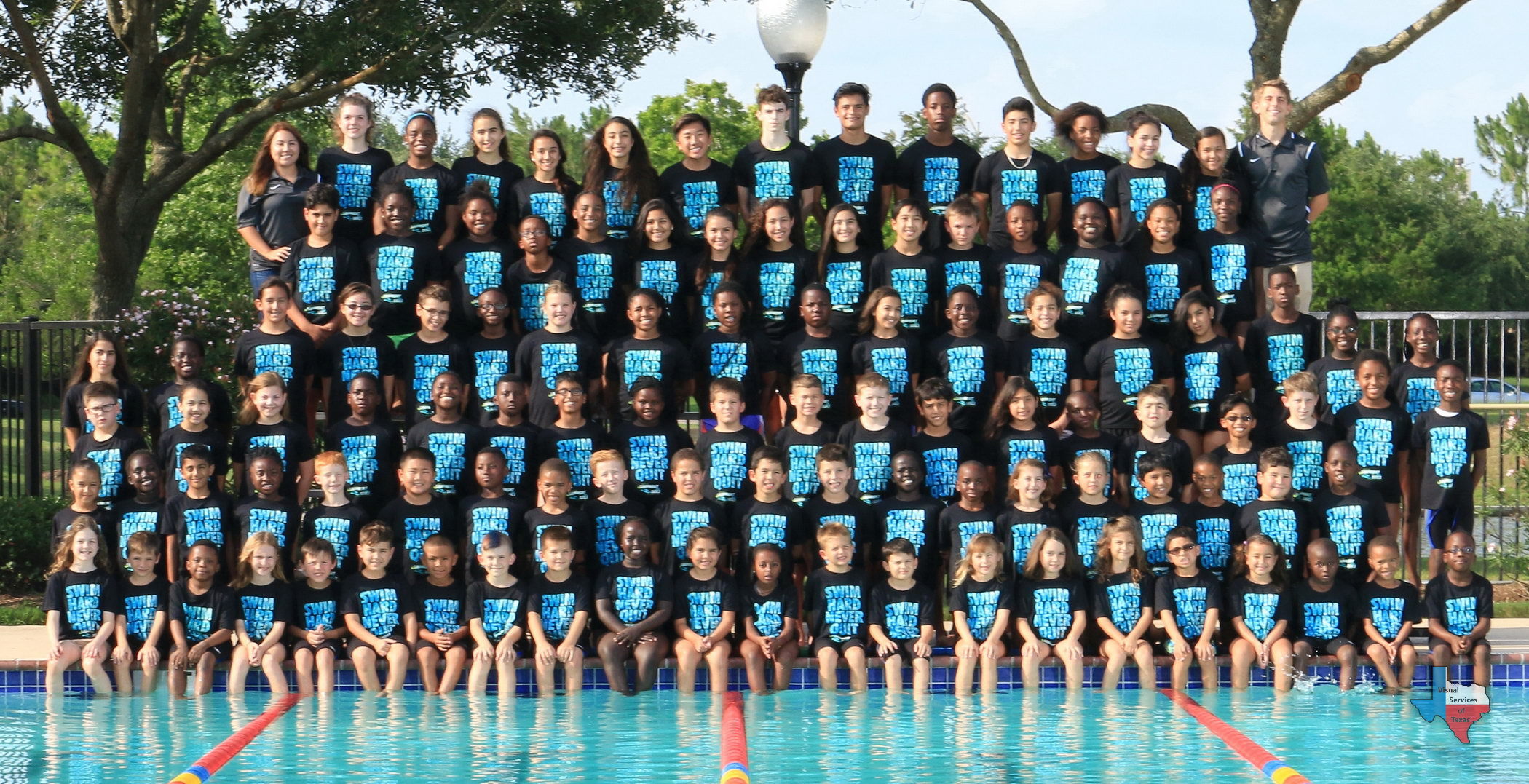 seal swim club