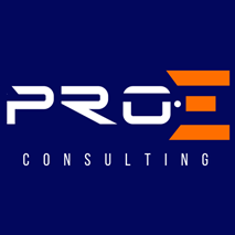 PRO E CONSULTING