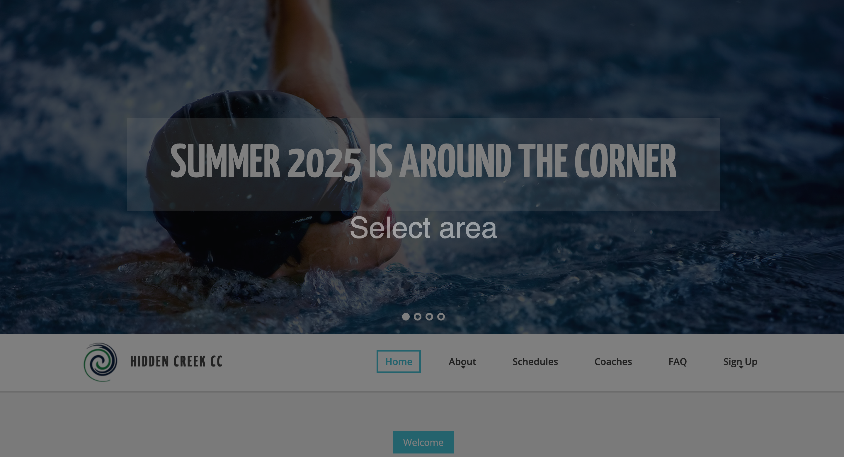 website